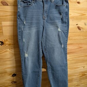 Classic Blue Distressed Skinny Jeans